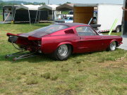 MUSTANG